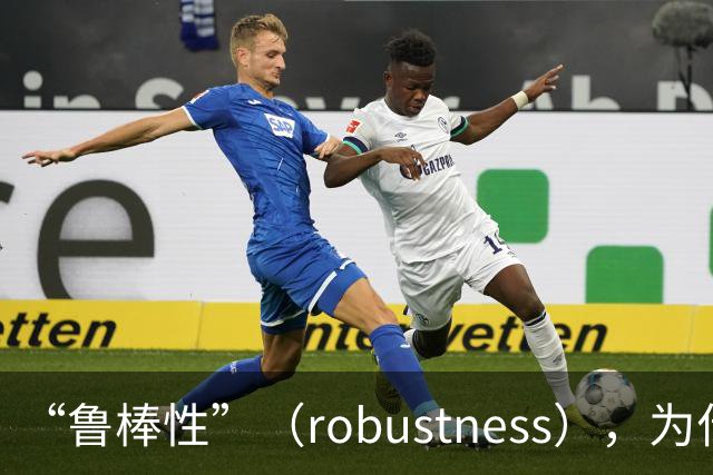 “鲁棒性”（robustness），为什么是糟糕的翻译？