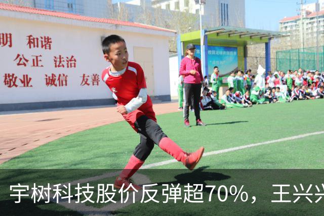 宇树科技股价反弹超70%，王兴兴身家695亿元，首次入围胡润百富榜