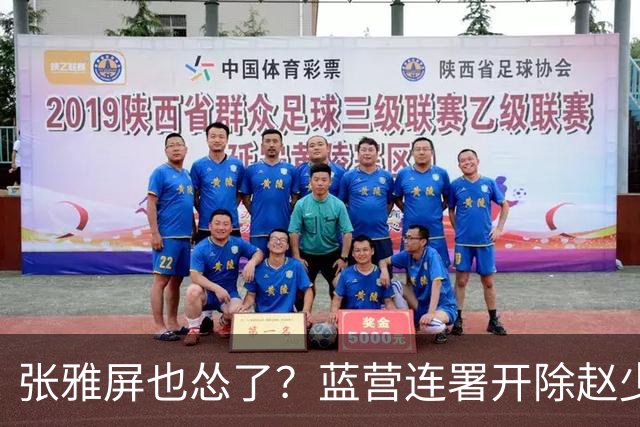 张雅屏也怂了？蓝营连署开除赵少康，张雅屏：联署人数不能替代事证