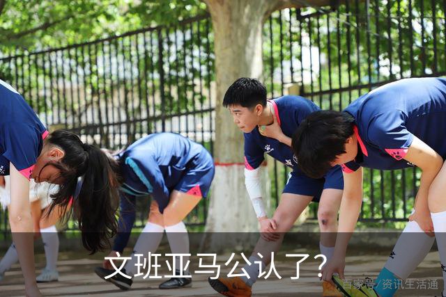 文班亚马公认了？