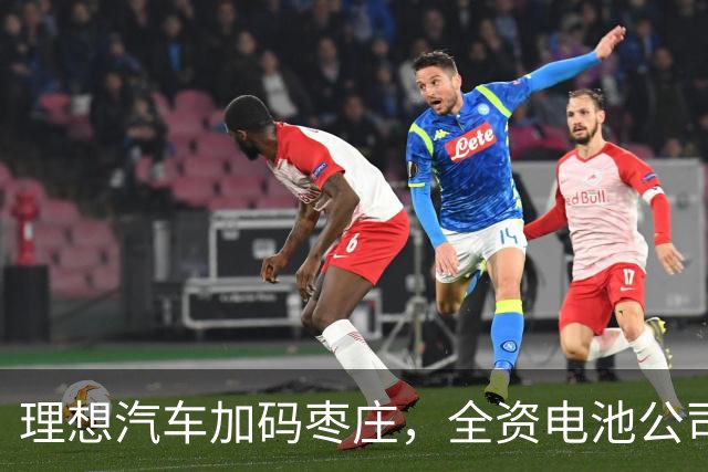 理想汽车加码枣庄，全资电池公司落地！“自研+代工”争夺电池定义权？